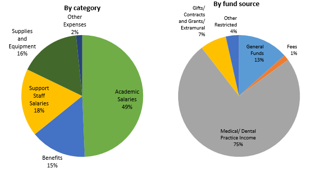 Health sciences instructional expenditures by category and fund source