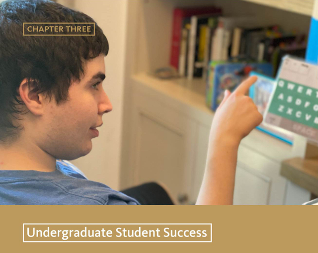 chapter 3: undergraduate student success